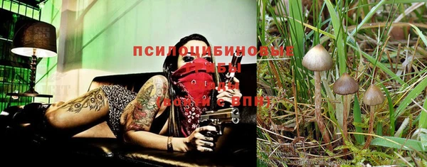 гидра Покачи