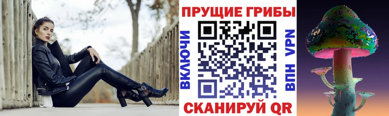 где купить   Шали  Псилоцибиновые грибы Psilocybe 